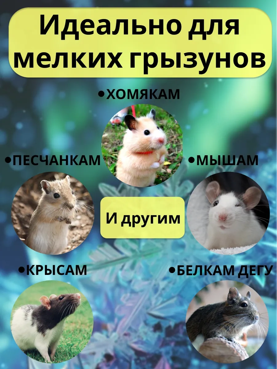 Petipet Kemirgenler Ve Hamsterlar İçin İki Katlı Kare Desenli Hama İki Adet, Kemirgenler Ve Hamsterlar İçin İki Katlı