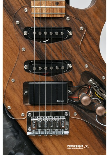 Elektro Gitar Custom Epoksi & Yıllanmış Ağaç Kişiye Özel Transparent Black