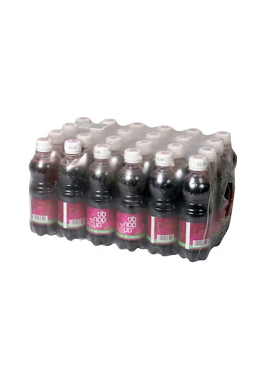 Acısız Şalgam Pet 300ml 24adet