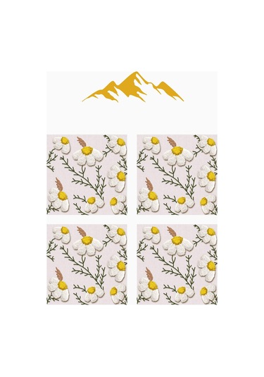 Dijital Baskılı Yumuşak Dokulu 4 Lü Kırlent Kılıfı Takımı 43x43 Cm Krl0081 Renkli