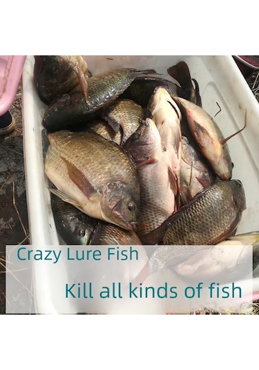 Yaozixa Yüksek Konsantrasyon Yumurta Süt Tozu: Balık Çekici Koku, Göl-çay-uzayık Balıkçılığı İçin Profesyonel İlaç 500g