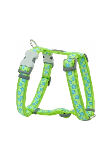 Reddingo Lime Üzerine Turkuaz Yıldızlı Köpek Göğüs Tasması M / 20 MM Lime