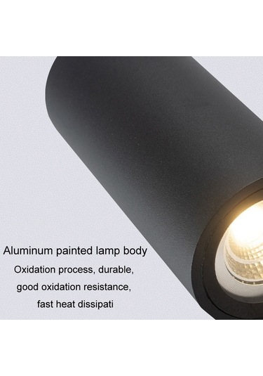 Tongxida Ip68 Su Geçirmez Dış Lamba Yuvarlak Soğuk Beyaz, 2 Başlık, Villa Kapısı İçin Soğuk Beyaz