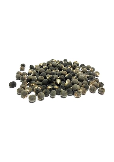 Bamya Tohumu 1   KG