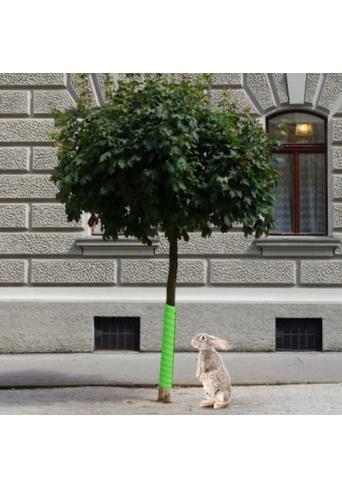 Sones Büyük Bitki Gövde Koruyucu Bahçe Anti Kemirgen Plastik Koruyucu Kılıf Beyaz