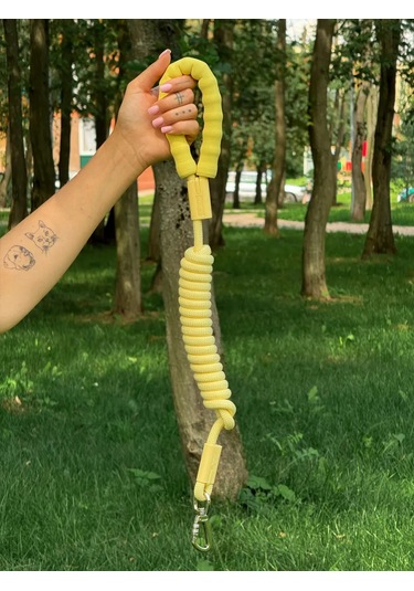 Freedsy Köpekler İçin 2.5 Metre Sarı Naylon Tasma 480667607 Gri