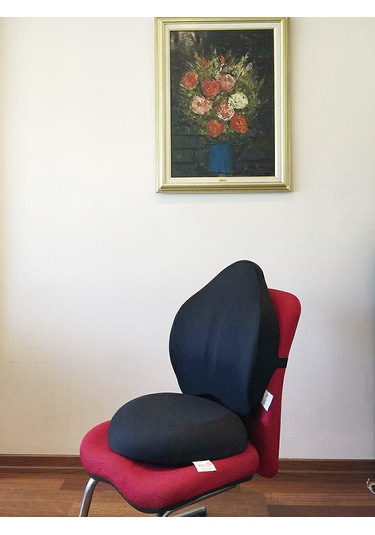 Viscoli Yastık Oturma Simidi + Boyunlu Bel Yastığı + Boyun Seyahat Yastığı