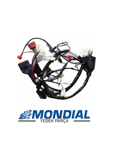 Elektrık Tesısatı Komple E5  Mondıal Drift L 125
