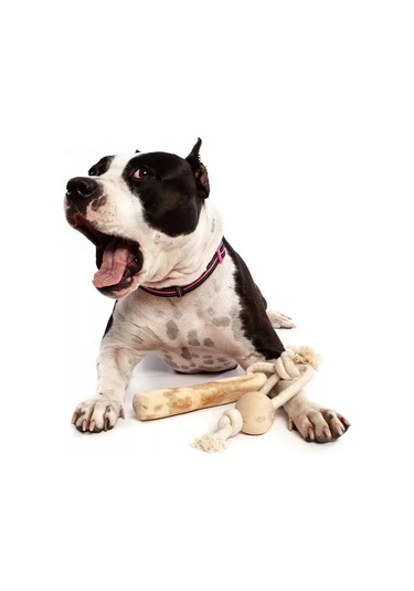 Coffee Wood Halat Ve Topluluk Çekişi İçin Kahve Çubuğu, L Boyu 244769196