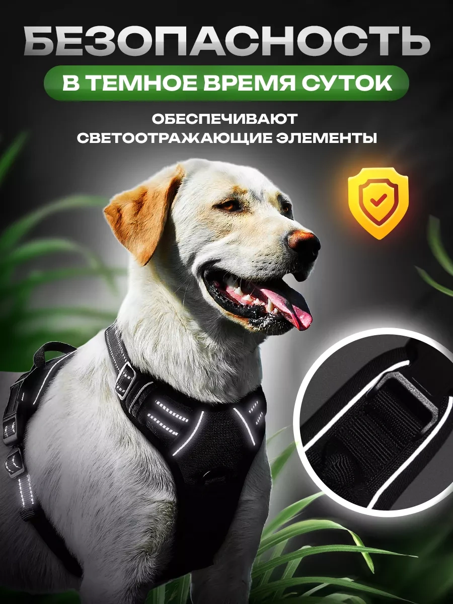 Petfort Orta Ve Büyük Irk Köpekler İçin Anatomik Koşu Kayışı 175383449 Siyah