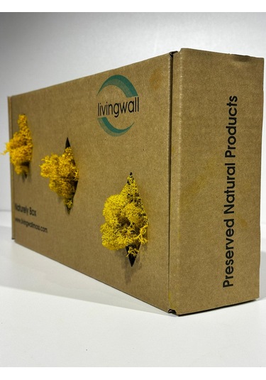 Reindermoss Şoklanmış Norveç Yosunu Terarium Yosunu Sarı 500 Gr.