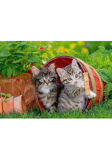 Ravensburger 2 Adet 12 Parçalı Puzzle Yavru Kediler Ravensburger 3 Yaş Ve Üzeri Çocuk Yapbozları Serisi