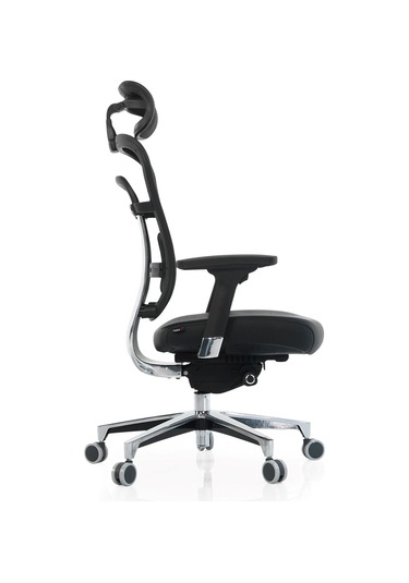 Passion Çalışma Koltuğu Oyuncu Yönetici Makam Koltuğu