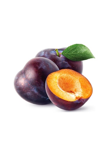 4 Yaş Tüplü Aneglino Anjelika Japon Eriği Fidanı Boy 150-180cm