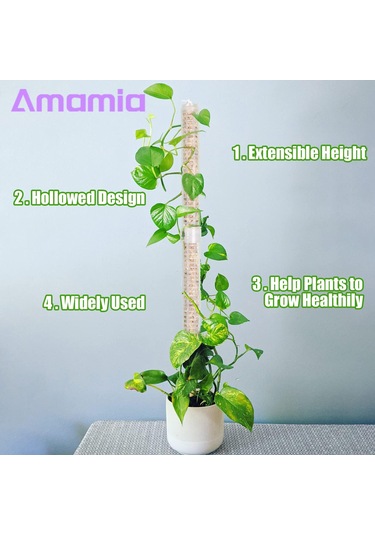 Lebihmurah 5078 Amamia Bitkiler Tırmanma Çubuğu Evrensel Ev Bahçe Yosun Direği Sütun Standı