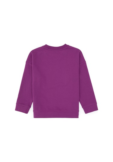 U.s. Polo Assn. Kız Çocuk Menekşe Sweatshirt 50317960-vr037 Menekse