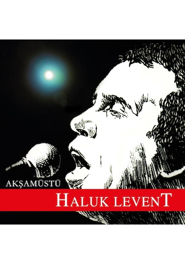 Haluk Levent - Akşamüstü Plak