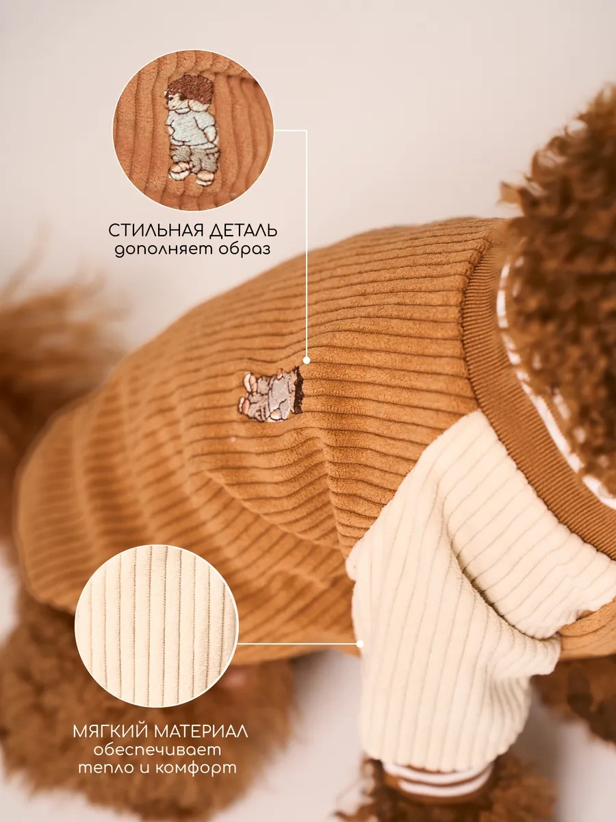 Petite Pets Küçük Irk Köpekler İçin Bomber Ceket 338568298