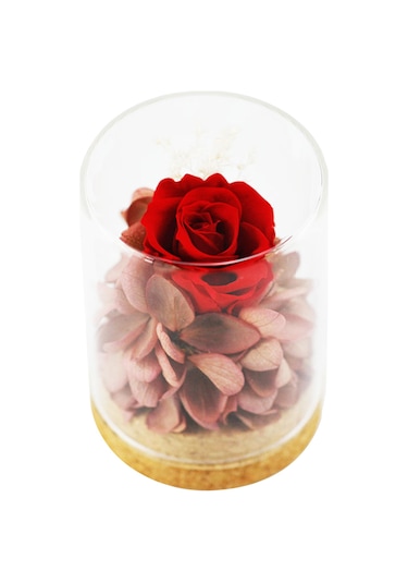 Reedark "özel Günler İçin Kalıcı Gül - Dekoratif Ve Kokulu Cam Kutu İçinde Gerçek Korunmuş Gül Çiçeği"