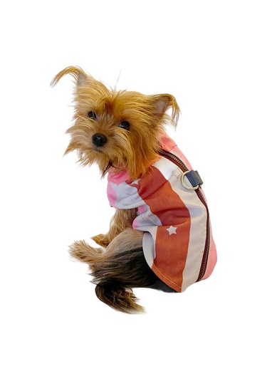 Pink Stars Su İtici Yağmurluk Köpek Yağmurluğu