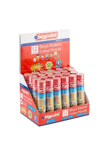 Bigpoint Metal Tüpde Kuru Boya Kalemi 12 Renk X 24 Adet Diğer
