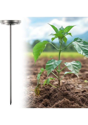 Trendooze Dış Mekan Toprağı Kompost, Bahçe Dikim İçin