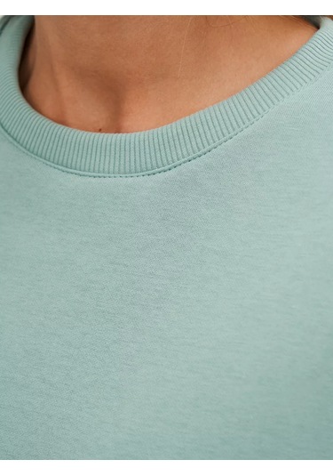 Avese Kapüşonlu Sweatshirt Büyük Beden Pamuklu Kumaş 246044906 Naneli