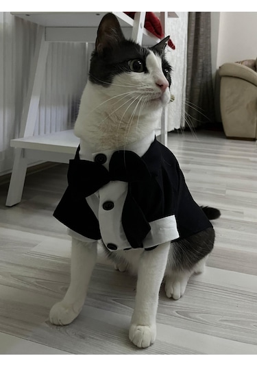Gobo Papyonlu Smokin Damatlık Kedi Köpek Giyim Takım Elbise