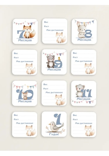 Copyroomgifts Fotoğraf Çekimi İçin Kâğıtlar 1 330890241 Diğer