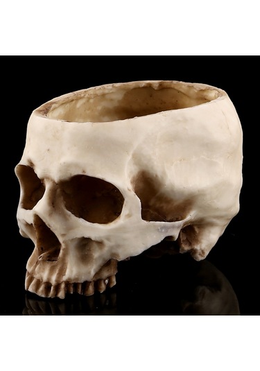 Konesam Büyük Boy Reçine Kafatası Süs Tepsisi - Bitki Yetiştirme, Atıştırmalık Depolama, Bar Ve Halloween Dekorasyonu