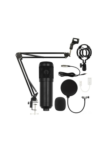 Singree Bm800 Profesyonel Kondenser Mikrofon Seti - Usb Bağlantılı, Geniş Frekans Aralığı, Düşük Gürültü, Canlı Yayın Ve Kayıt İçin