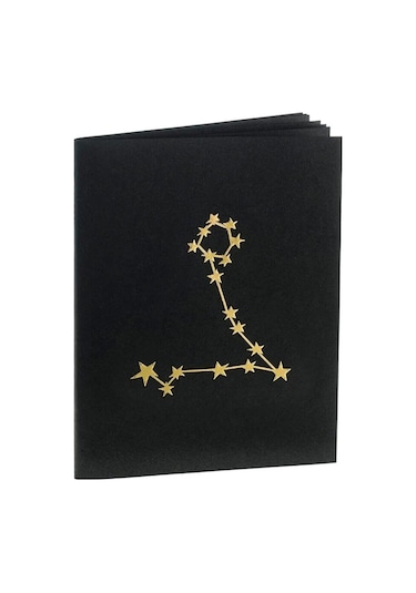 Balık Burcu Yıldız Haritası Defter