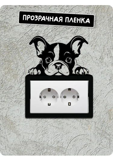 Stadi Dikkat Eden Köpek Etiketi 200702513 Siyah