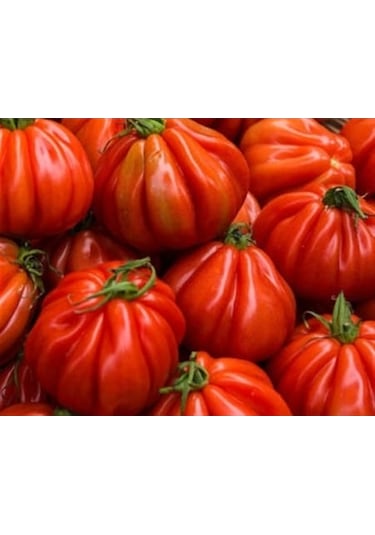 İtalyan Pileli Dev Antik Domates 10 Tohum + Tohum