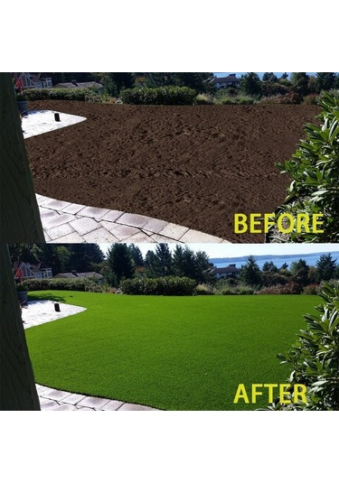 Pazly Yeşil Çim Halısı - Bahçe Ve Çim Alanlar İçin Kolay Büyütme Halısı