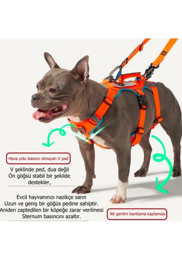 Interlaken Earthtech Slim 3.0 Köpek Göğüs Tasması Mavi - Turuncu L Mavi - Turuncu