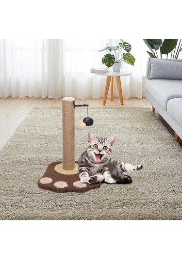 Suntek Kedi Tırmalama Sonrası Kediler Taşlama Paws Asılı Top