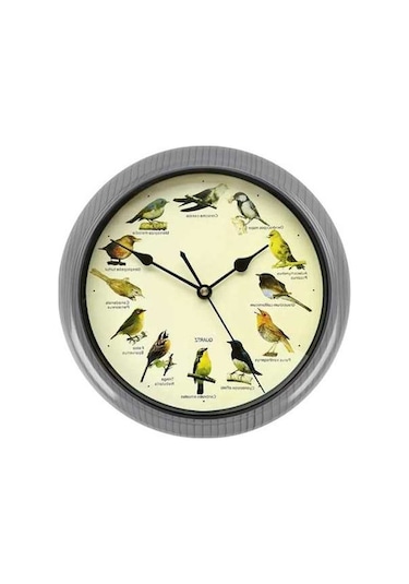 Pazly Suntek Ses Saati Pille Müzikal Kuşlar Gri-25cm Gri Duvar Çalışan 25cm Bz Çok Renkli