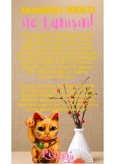 Petjoo 4.Maneki Neko Pembe-Sarı Qr'lı Kedi Künyesi