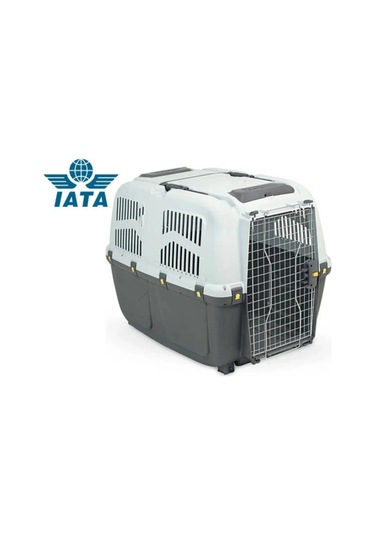 Skudo 8 Lata Tekerleksiz Taşıma Çantası Jungle Hediyeli.