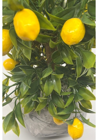 Geometrik Mermer Desenli Beton Saksıda Limon Ağacı Sarı - Yeşil