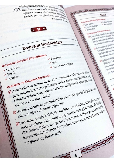 Şifalı Bitkiler dergi Boy - Kasım Yayla