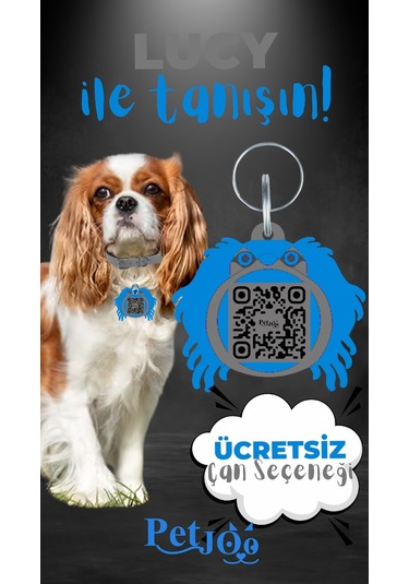 Petjoo 11.Lucy Mavi-Gri Qr'lı Köpek Künyesi