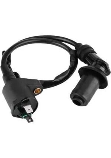 Scooter 125-150 / Pejo Ateşleme Dış Bobin