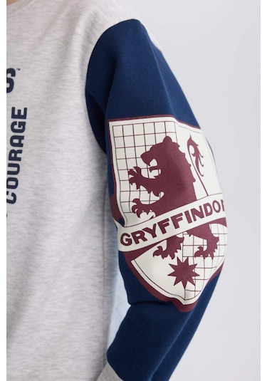 Defacto Erkek Çocuk Harry Potter Regular Fit Bisiklet Yaka Sweatshirt D4258a8nsgr400 Gri