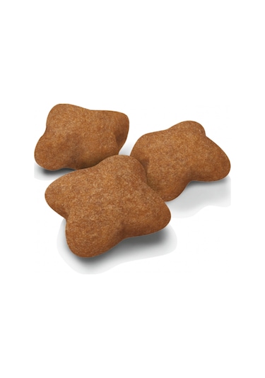 Royal Canin Kısırlaştırılmış Yavru Kedi Maması 2 KG