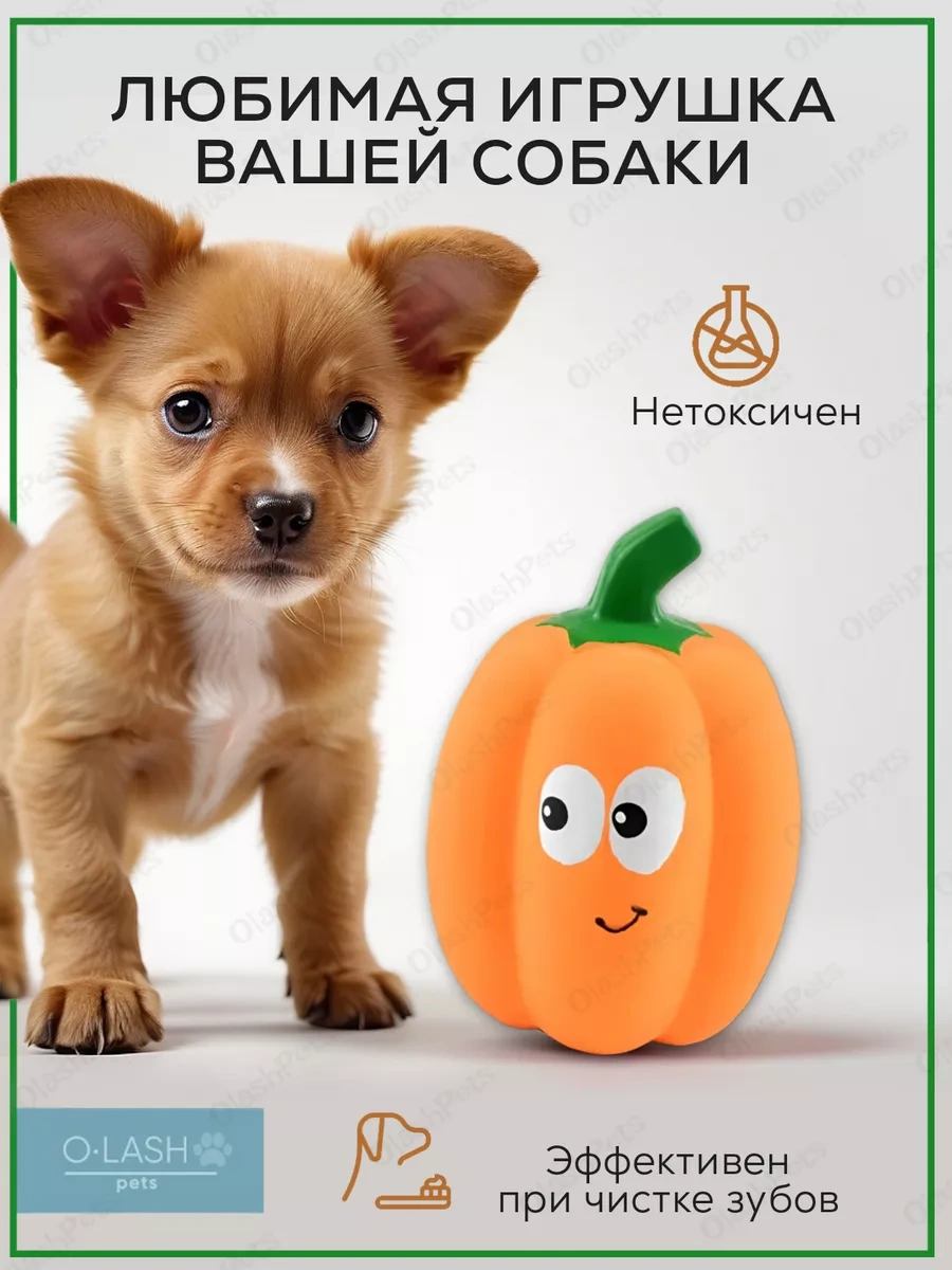 Olash Pets Yerden Çıkan Köpek Oyuncağı Latıksından 191091188