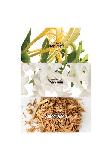 Avon Little Black Dress Kadın Roll-On 50 ML