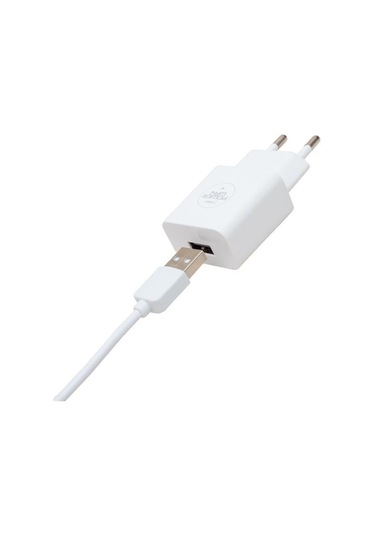 Powerway 5 Volt 2.1 Amper Type C Şarj Aleti - Kablo X-101