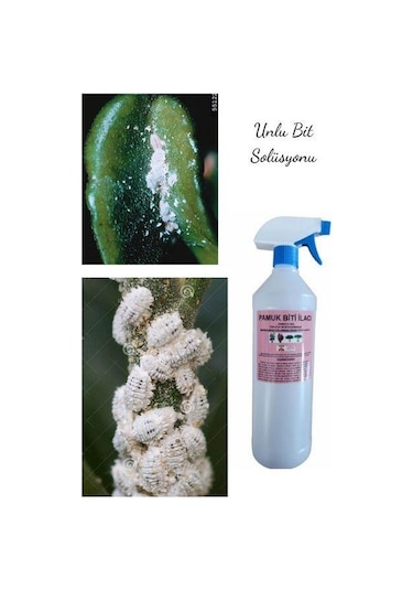 Çiçek Ve Bitkiler İçin Unlu Pamuk Biti Ilacı 1000 Ml